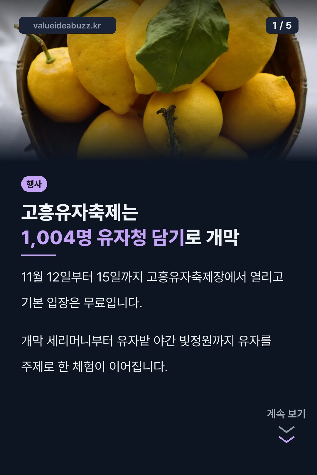 고흥유자축제 핵심 정리