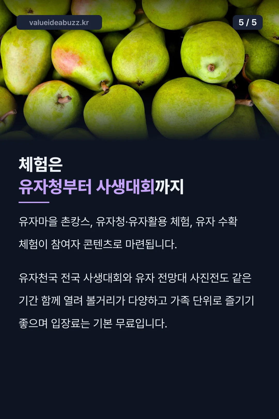 유자청 체험과 사생대회