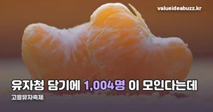고흥유자축제 2026 — 11월 12~15일, 1,004명 유자청 담기와 야간 빛정원 정리