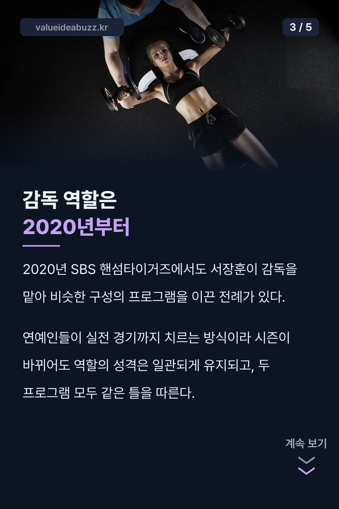 핸섬타이거즈 전작